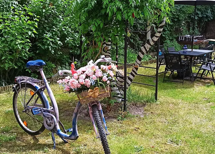 Willa Retro Hostel & Garden